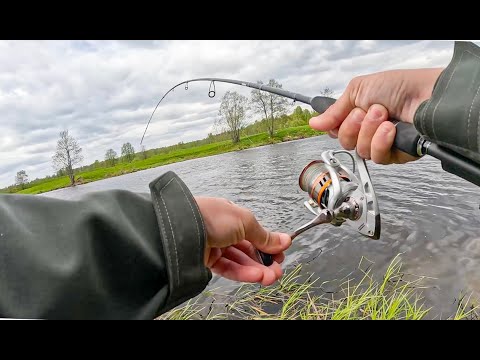 Видео: КАК Я ищу РЫБУ на НОВОЙ РЕКЕ. Рыбалка на спиннинг, ловля щуки в мае 2024