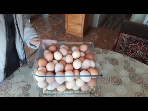 Видео: Быстро завтракаю и на дачу//Была в деревне// Куда столько яиц//