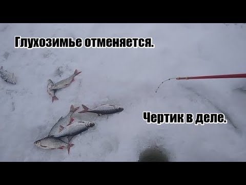 Видео: Глухозимье отменяется. Чёртик сделал рыбалку.