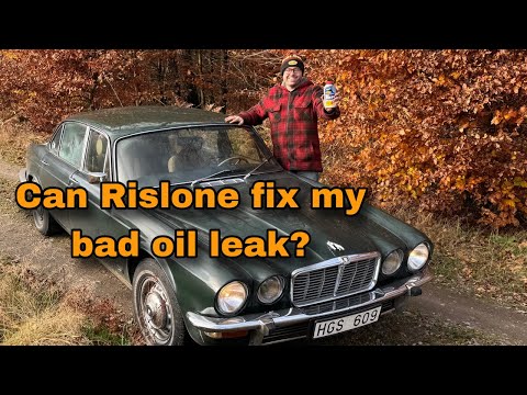 Видео: У моего Daily Driver XJ6 серьёзная утечка масла! — Попробуем ремонт заднего главного сальника Ris...