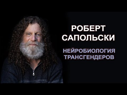 Видео: Роберт Сапольски - Нейробиология трансгендерных людей (12/04/2024)