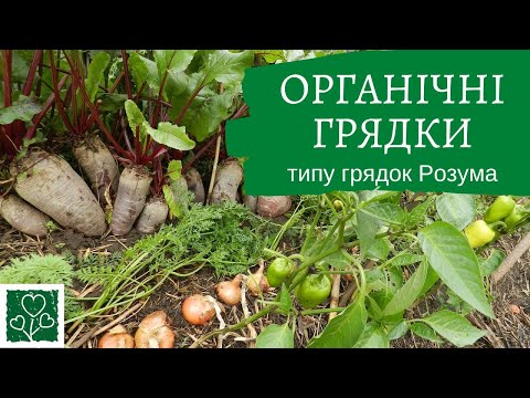 Видео: Органічна грядка,  типу грядки Розума