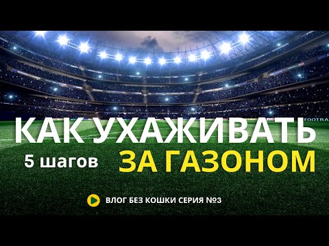 Видео: ПЯТЬ шагов для идеального газона — даже если ты новичок | DIY газон 2025 | (Влог Без Кошки #3)