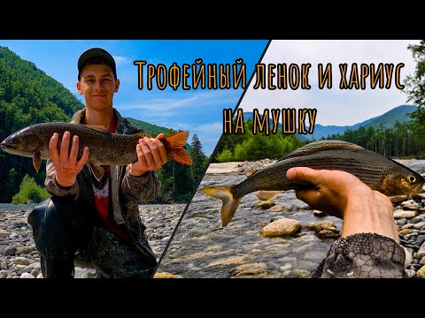 Видео: НАШЕЛ ЛАГЕРЬ НА ГОРНОЙ РЕКЕ. ПОЙМАЛ ТРОФЕЙНОГО ЛЕНКА И ХАРИУСА НА МУШКУ. РЫБАЛКА В ДИКИХ МЕСТАХ 2023
