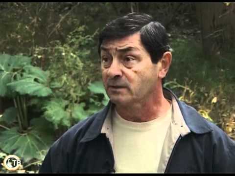 Видео: Зеленое ожерелье Белокопытник 2-ая часть