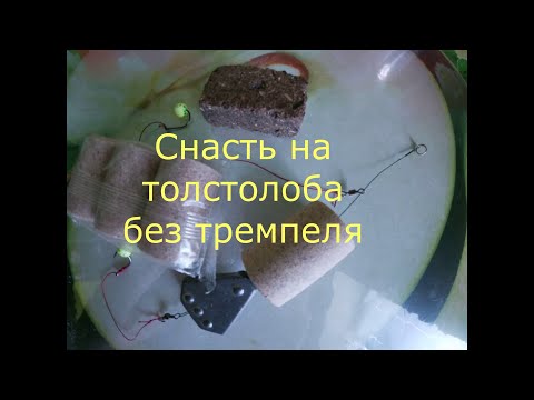Видео: Донная снасть на толстолобика,карпа,амура без тремпеля