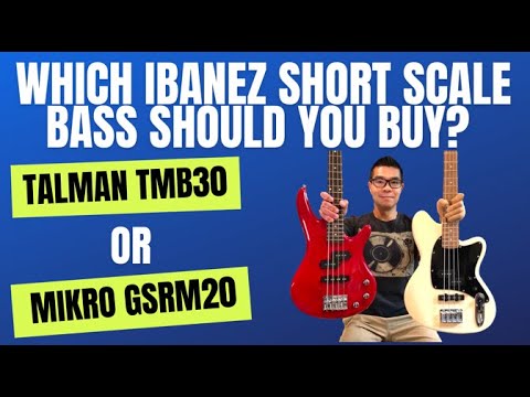 Видео: Ibanez Talman TMB30 против Mikro GSRM20. Какую бас-гитару Ibanez с короткой мензурой выбрать? Сра...