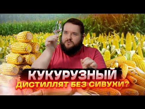 Видео: МОЛОТАЯ КУКУРУЗА НА ФЕРМЕНТАХ