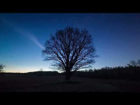 Видео: Relaxing Music by Moshe P. Weisblum 癒しの音楽 治療音楽 Расслабляющая терапевтическая музыка