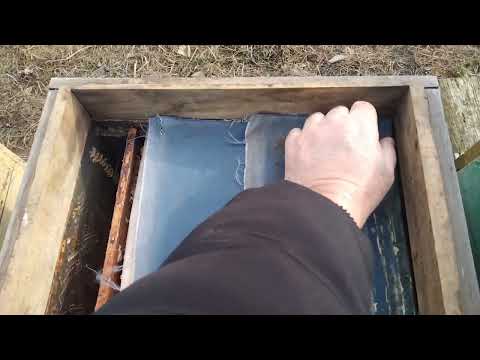 Видео: Не делайте так и пчёлы будут хорошо зимовать.