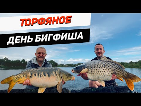 Видео: Озеро Торфяное| Ловля карпа