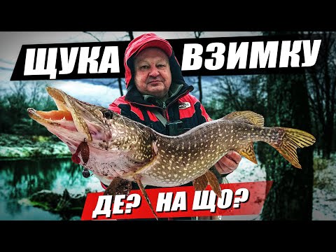 Видео: Як підібрати приманку на щуку? Що важливіше: колір чи розмір?