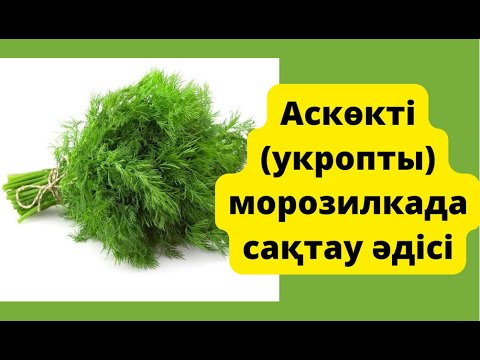 Видео: УКРОПТЫ (Аскөк) МОРОЗИЛКАДА САҚТАУ ӘДІСІ.
