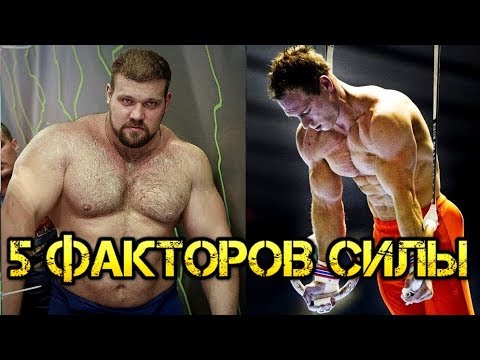 Видео: 5 ФАКТОРОВ! От чего зависит СИЛА человека?