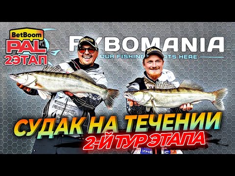 Видео: СУДАК НА ТЕЧЕНИИ! BetBoom PAL2025 | 2 этап | 2 тур