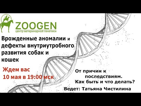 Видео: Врожденные аномалии и дефекты внутриутробного развития щенков и котят
