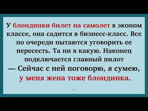 Видео: Блондинка в самолете, Как учили еврея комерции, Лексус на кастрации 🔥 | Анекдоты |  Смешные анекдоты