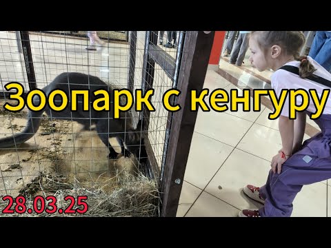Видео: Посетили привозной зоопарк. Милана гладит кенгуру. Интересные редкие животные. Чем заняться с детьми