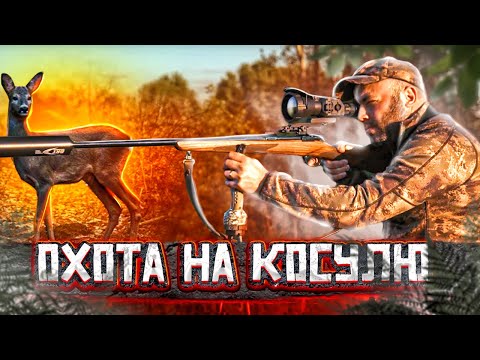 Видео: Охота на косулю. Рекомендации при охоте с тепловизором.