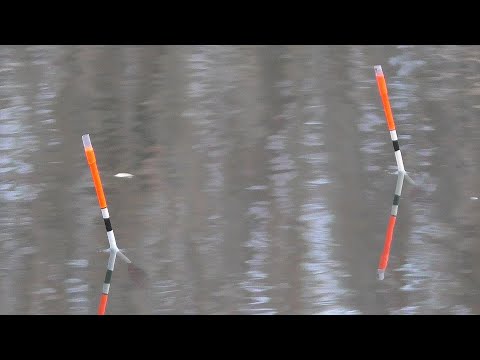 Видео: Рыбалка на поплавок . Первый лед(конец ноября) . Ловля карася . My fishing