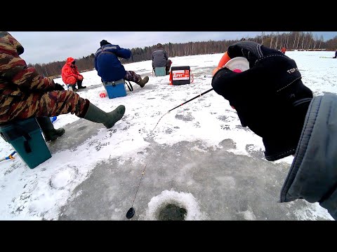 Видео: Обловил всех на водоёме! Игра мормышки РЕШАЕТ, когда рыба капризна! Зимняя рыбалка 2020-2021!