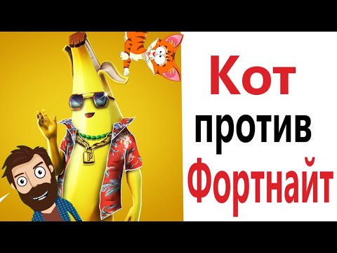 Видео: ФОРТНАЙТ ПРОТИВ КОТА!!! Приколы от – Domi Show!