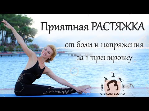 Видео: ЗДОРОВАЯ РАСТЯЖКА - от  НАПРЯЖЕНИЯ и БОЛИ в МЫШЦАХ за 1 ТРЕНИРОВКУ