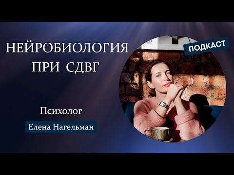 Видео: Нейробиология синдрома гиперактивности и дефицита внимания (СДВГ)