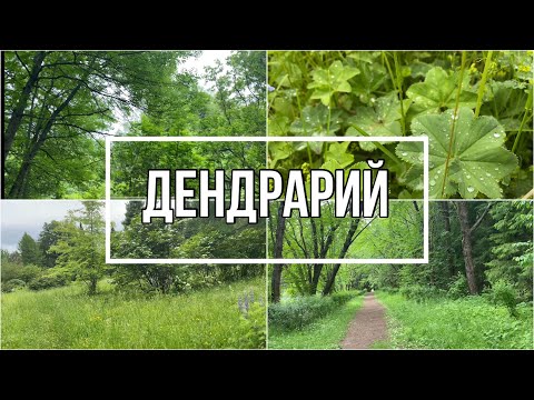 Видео: ЖИЗНЬ В КАЗАНИ\ДЕНДРАРИЙ/ВОЛЖСКО-КАМСКИЙ ЗАПОВЕДНИК\ДЕНДРАРИЙ КАЗАНЬ