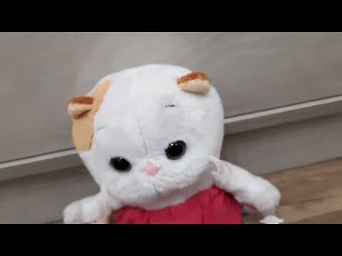 Видео: Вечерний   влог   Басика