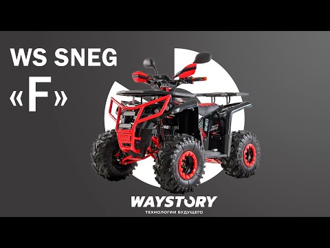 Видео: Электрический квадроцикл White Siberia SNEG F | Обзор от магазина электротранспорта Waystory
