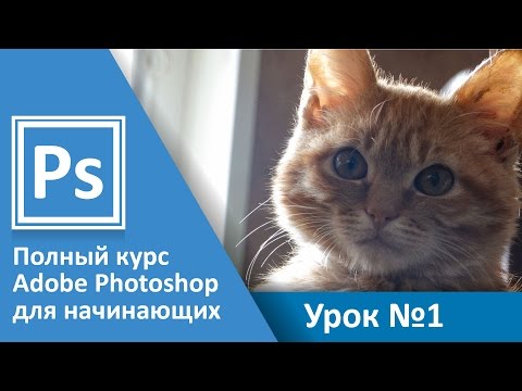 Видео: Урок 1 -  Введение. Полный курс Adobe Photoshop с нуля | Graphic Hack