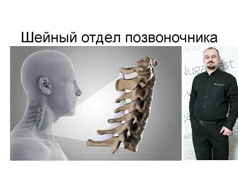 Видео: Строение шейного отдела позвоночника