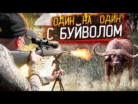 Видео: Охота на буйвола. Хозяин Африки против русского охотника. Опасная охота.