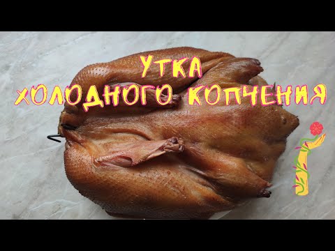 Видео: Утка холодного копчения в домашних условиях.