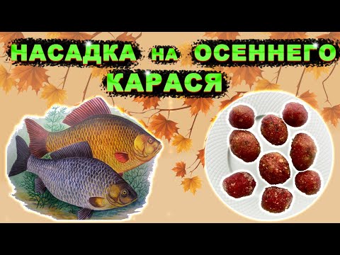 Видео: Насадка для рыбалки на КАРПА, КАРАСЯ, ЛЕЩА. Фидер, донка, поплавок.