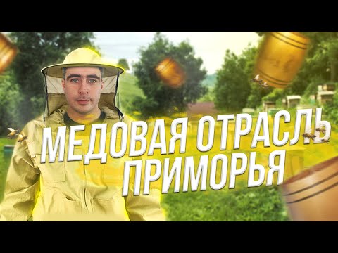 Видео: Медовая отрасль Приморья. Пасеки и пасечники. Мнения и перспективы.
