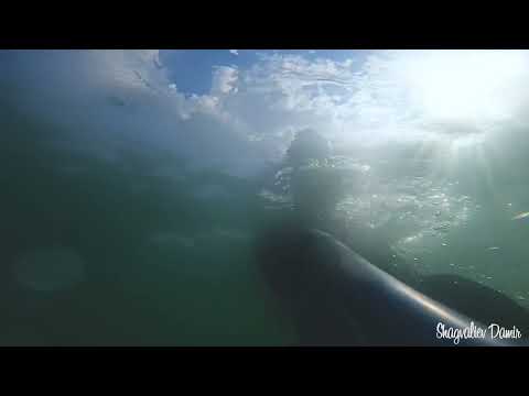 Видео: Саранский карьер18:05:2022