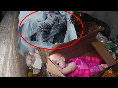 Видео: Женщина услышала плач из мусорного бака, а заглянув в него - ПОТЕРЯЛА ДАР РЕЧИ…