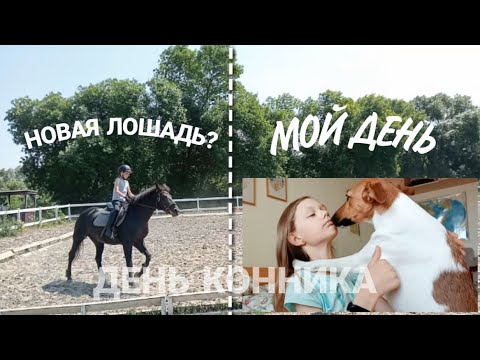 Видео: ДЕНЬ КОННИКА/НОВАЯ ЛОШАДЬ?!    #мойдень #деньконника #конюшня #конныйспорт #horse #конники #myhorse