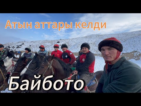 Видео: Кадамжай Аламан улак 21.12.24