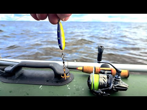 Видео: рыбалка Ловля Судака и Берша в отвес на тюльку. Осенняя рыбалка 2025