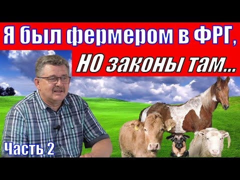 Видео: Я пытался создать маленькую Родину...