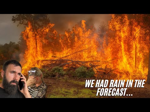 Видео: Я сжег кучу хвороста на нашей ферме…