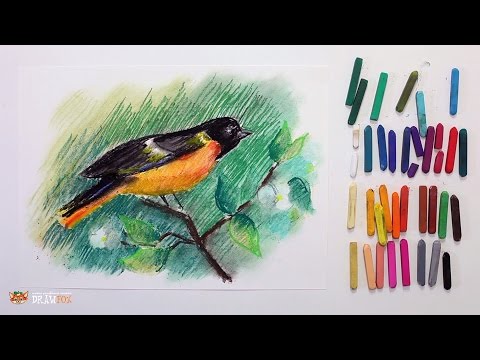 Видео: Курс рисования "Сухая пастель" Начинающие. Урок 3-4. Снегирь.
