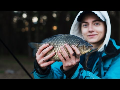 Видео: ТОЛСТЫЕ КАРАСИ пришли НА ТОЧКУ!!! 15 КГ