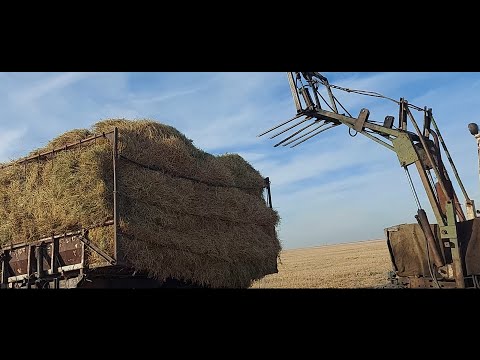 Видео: Жизнь в селе#Казахстан#Выехали за соломой.