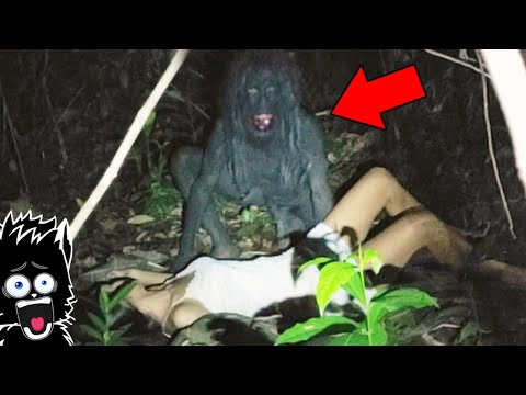 Видео: МОНСТР ТАРЗАН и ДРУГАЯ ШНЯГА СНЯТАЯ НА КАМЕРУ [Черный кот]