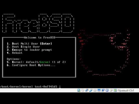 Видео: DNS-сервер Unbound на FreeBSD