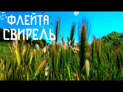 Видео: Флейта Свирель /Пение Птиц/ Этническая Музыка Широких Просторов